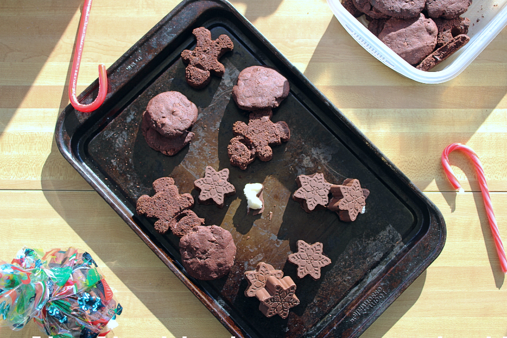 Celebrating one year of The Sunday Roast&nbsp;🎉